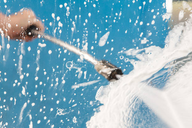Animal Enclosure Cleaning in North Miami Beach, FL